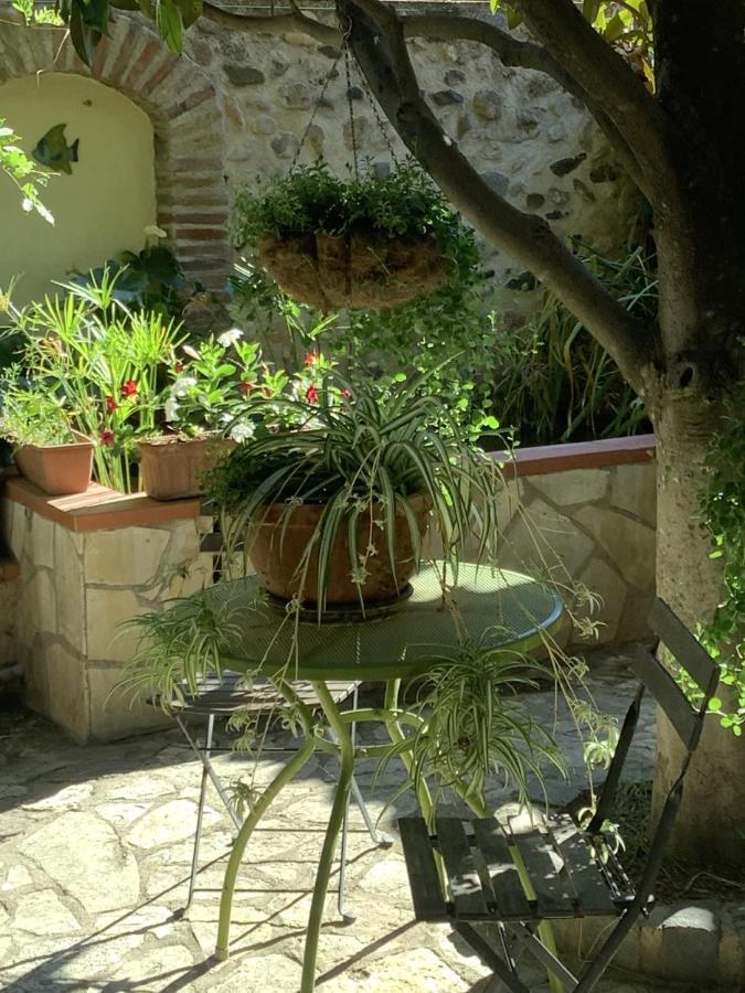 Mas Grandiflora Villa Espira-de-l'Agly Dış mekan fotoğraf