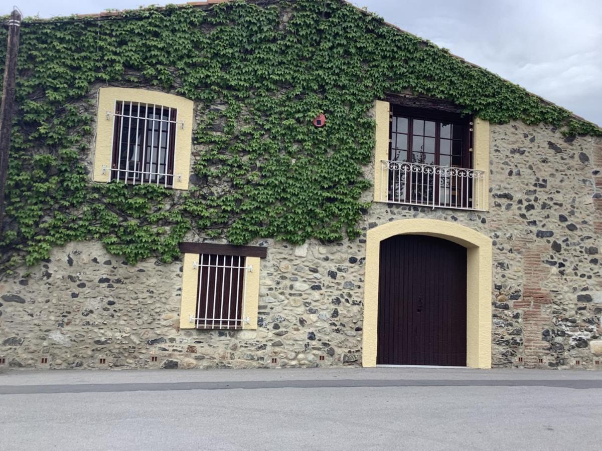 Mas Grandiflora Villa Espira-de-l'Agly Dış mekan fotoğraf